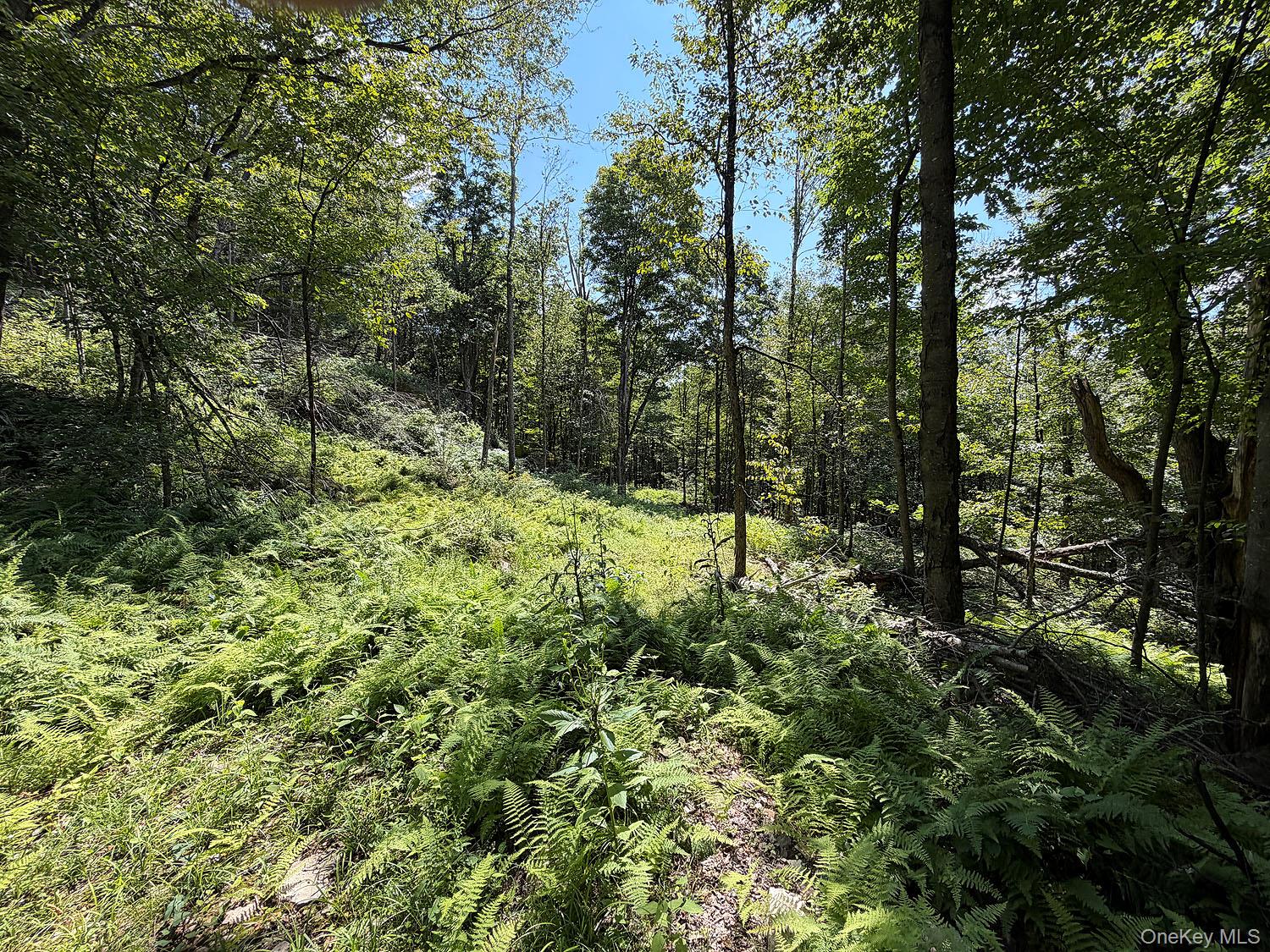 Hammer Road – For Sale photo 20