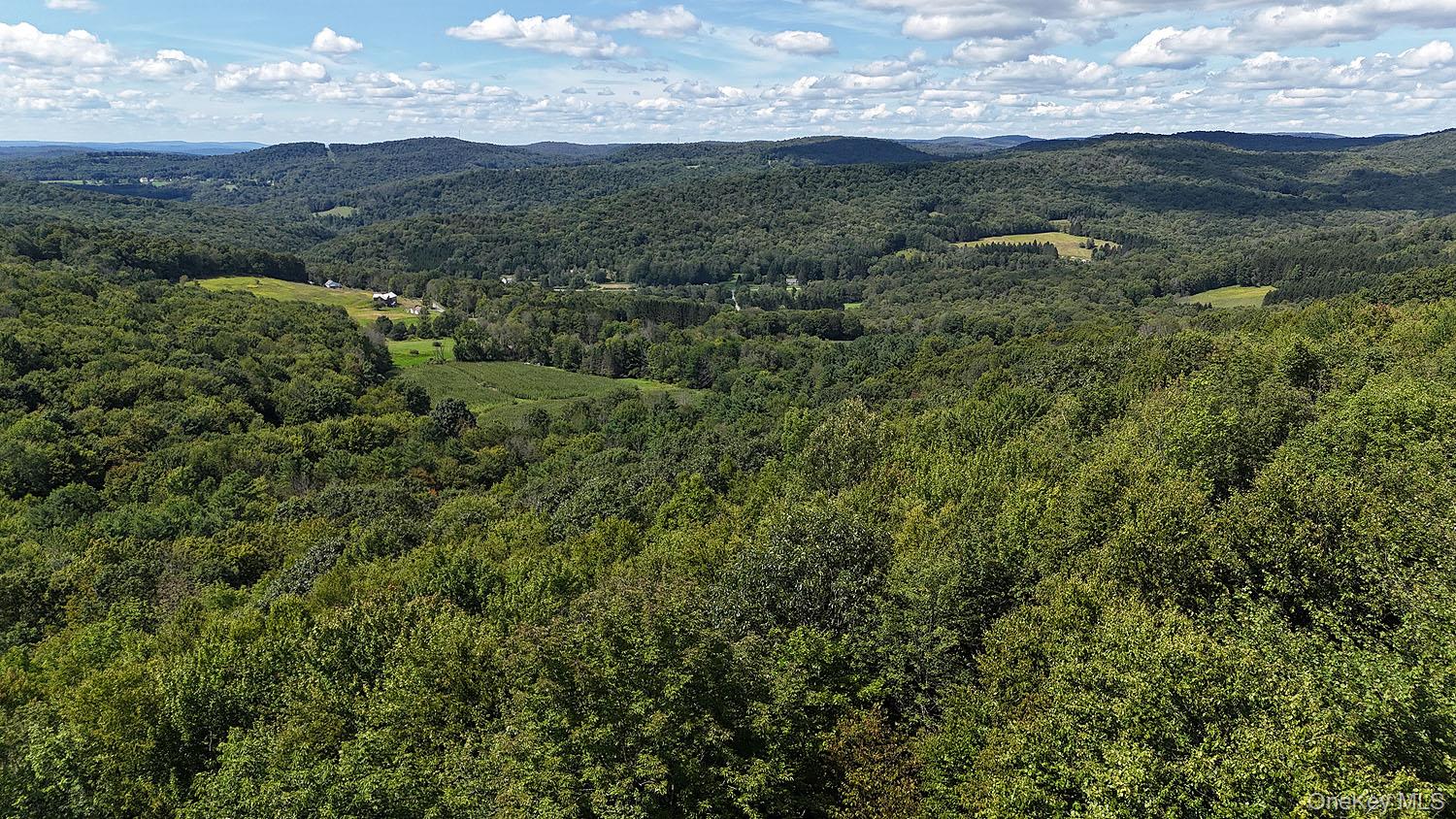 Hammer Road – For Sale photo 5