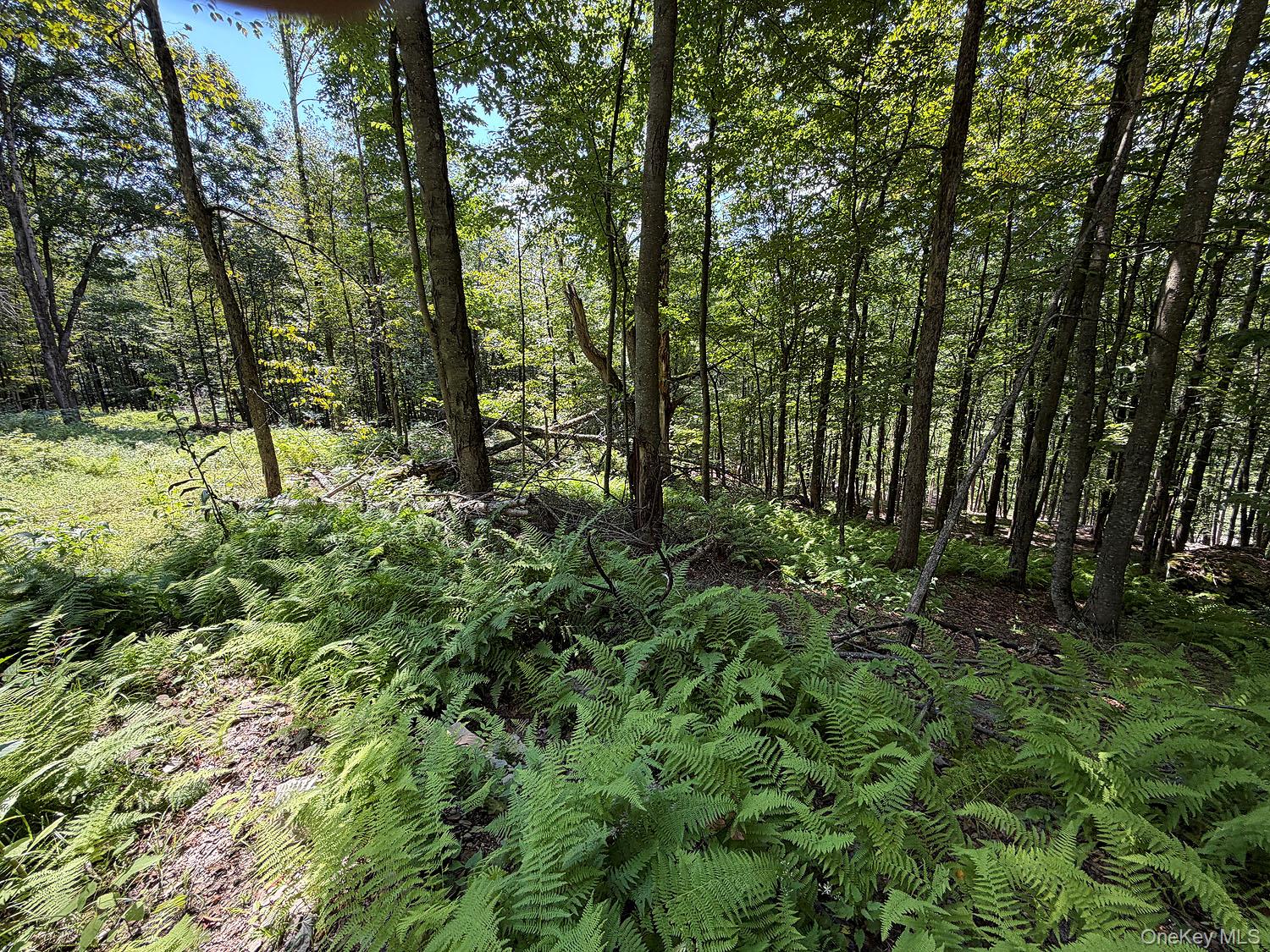 Hammer Road – For Sale photo 19