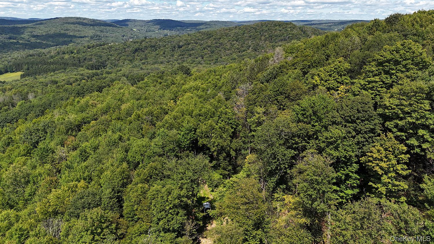 Hammer Road – For Sale photo 26