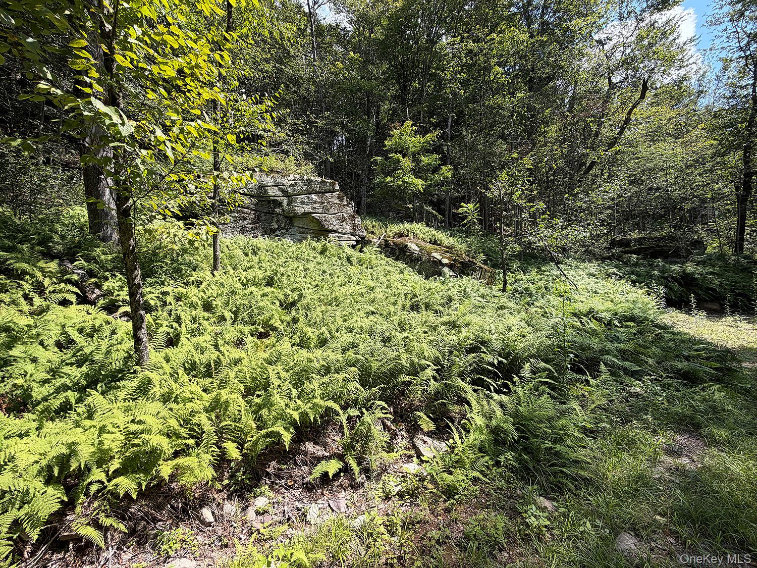 Hammer Road – For Sale photo 16