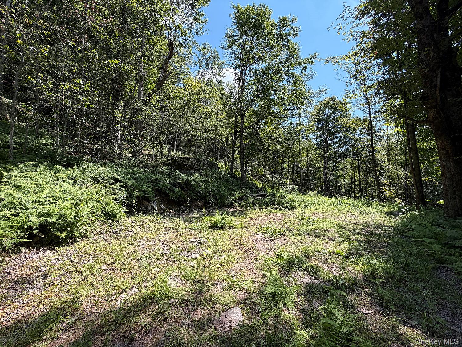 Hammer Road – For Sale photo 17
