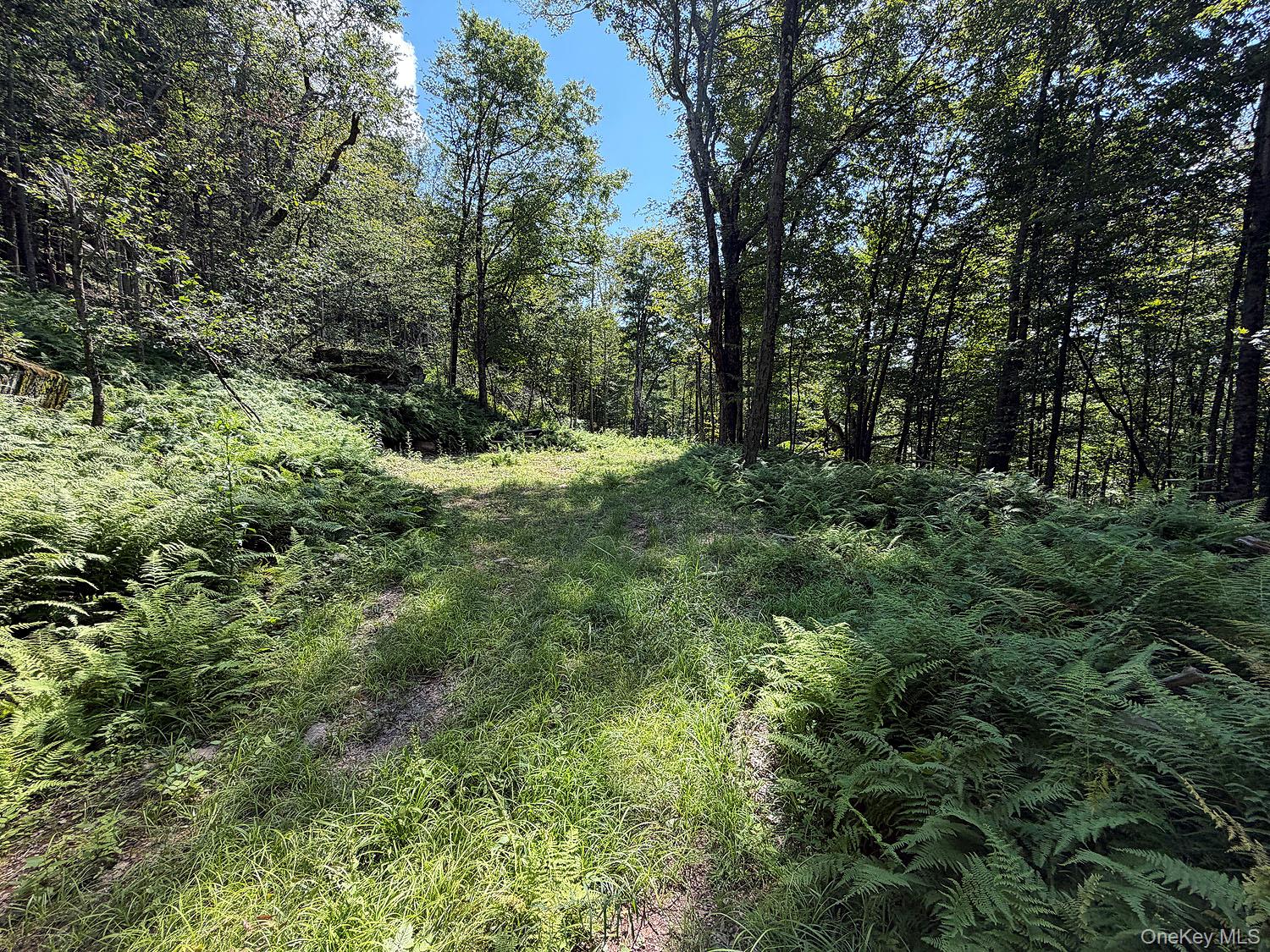 Hammer Road – For Sale photo 15