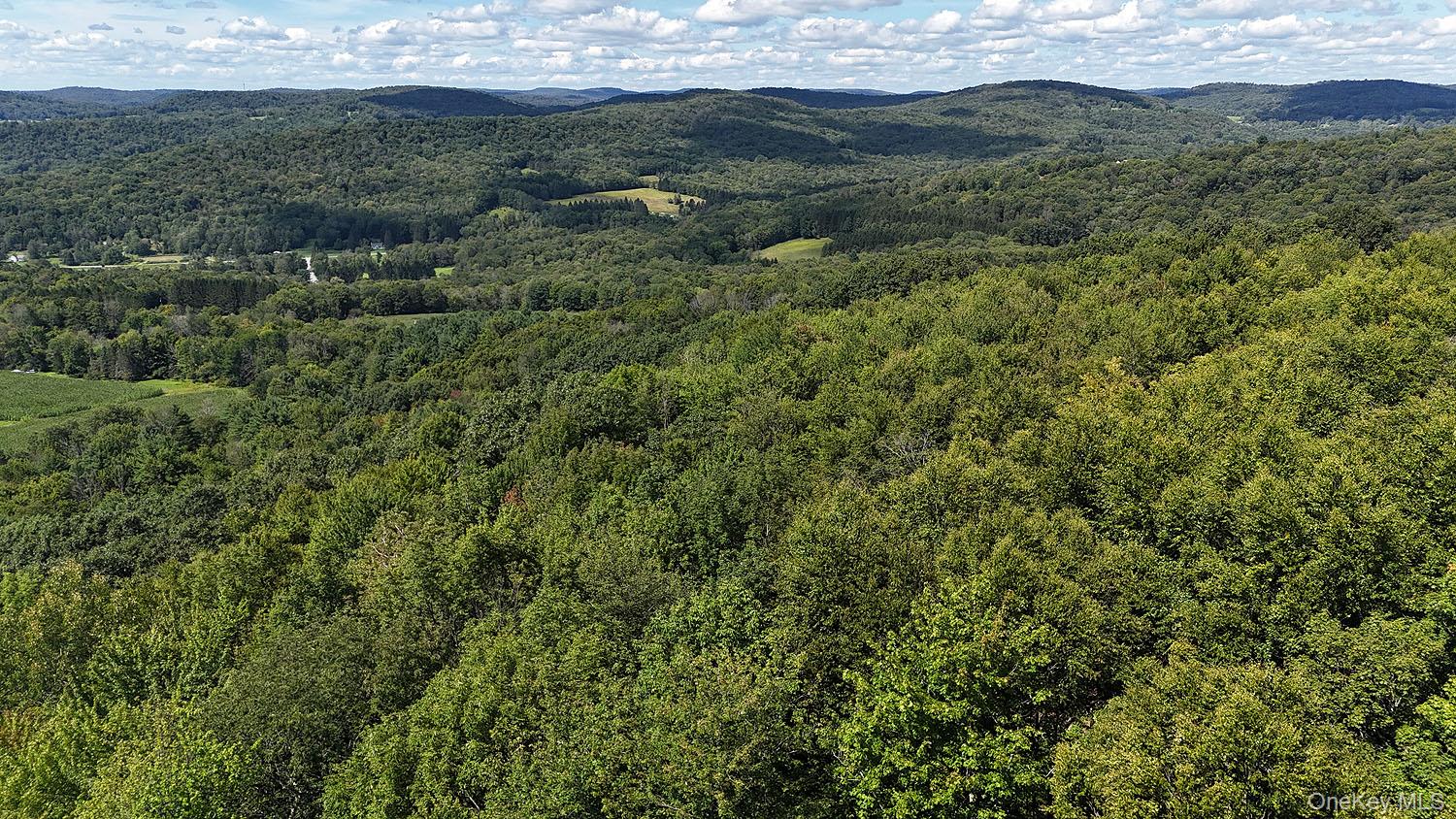 Hammer Road – For Sale photo 2