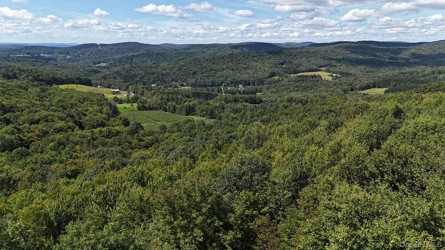 Hammer Road – For Sale photo 23