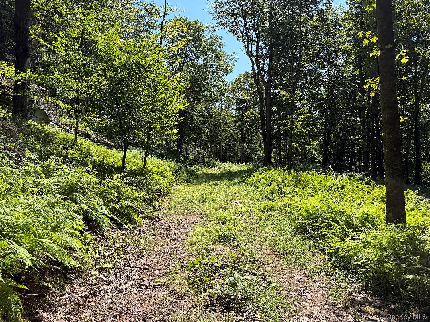 Hammer Road – For Sale photo 14