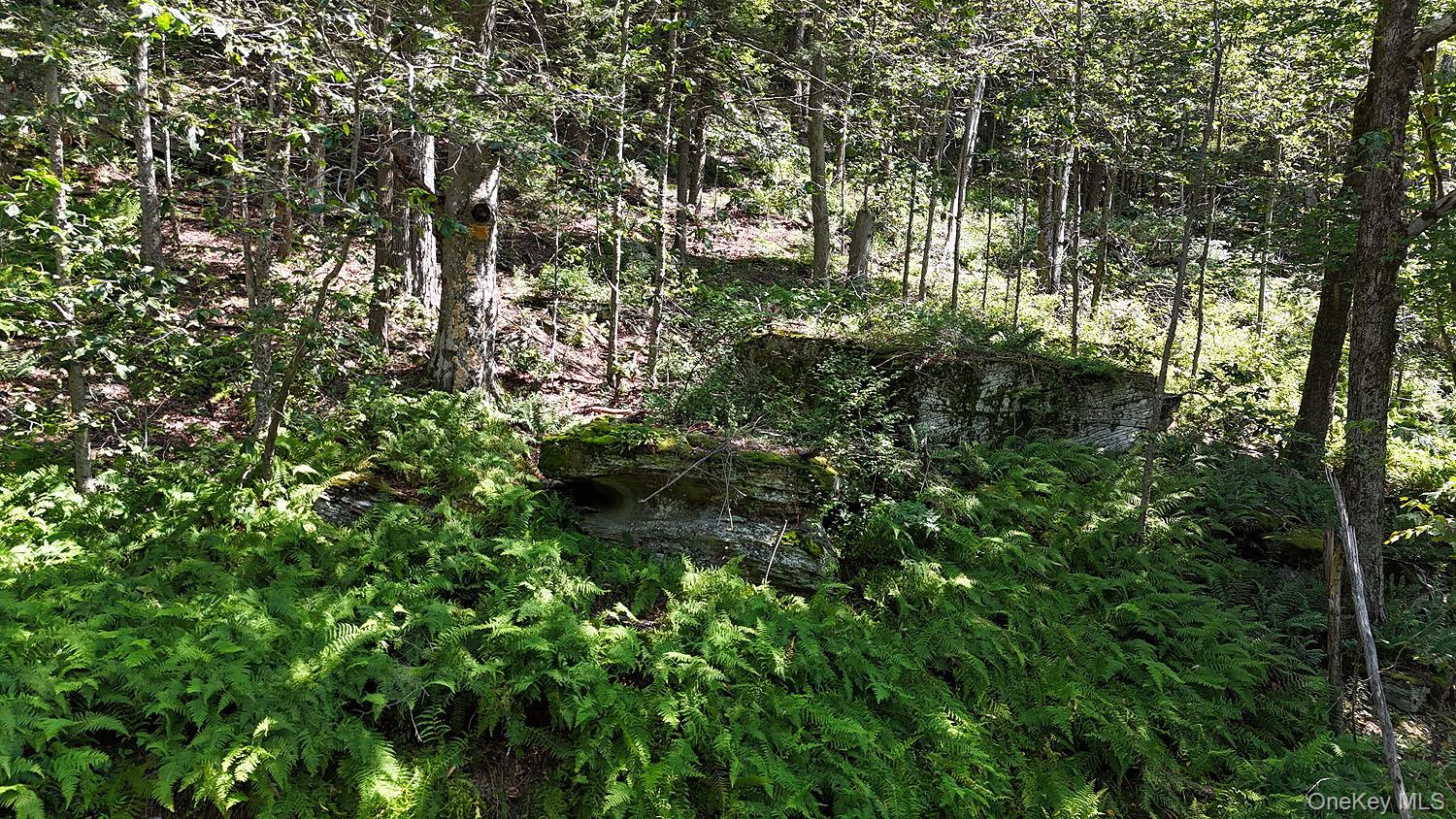 Hammer Road – For Sale photo 4