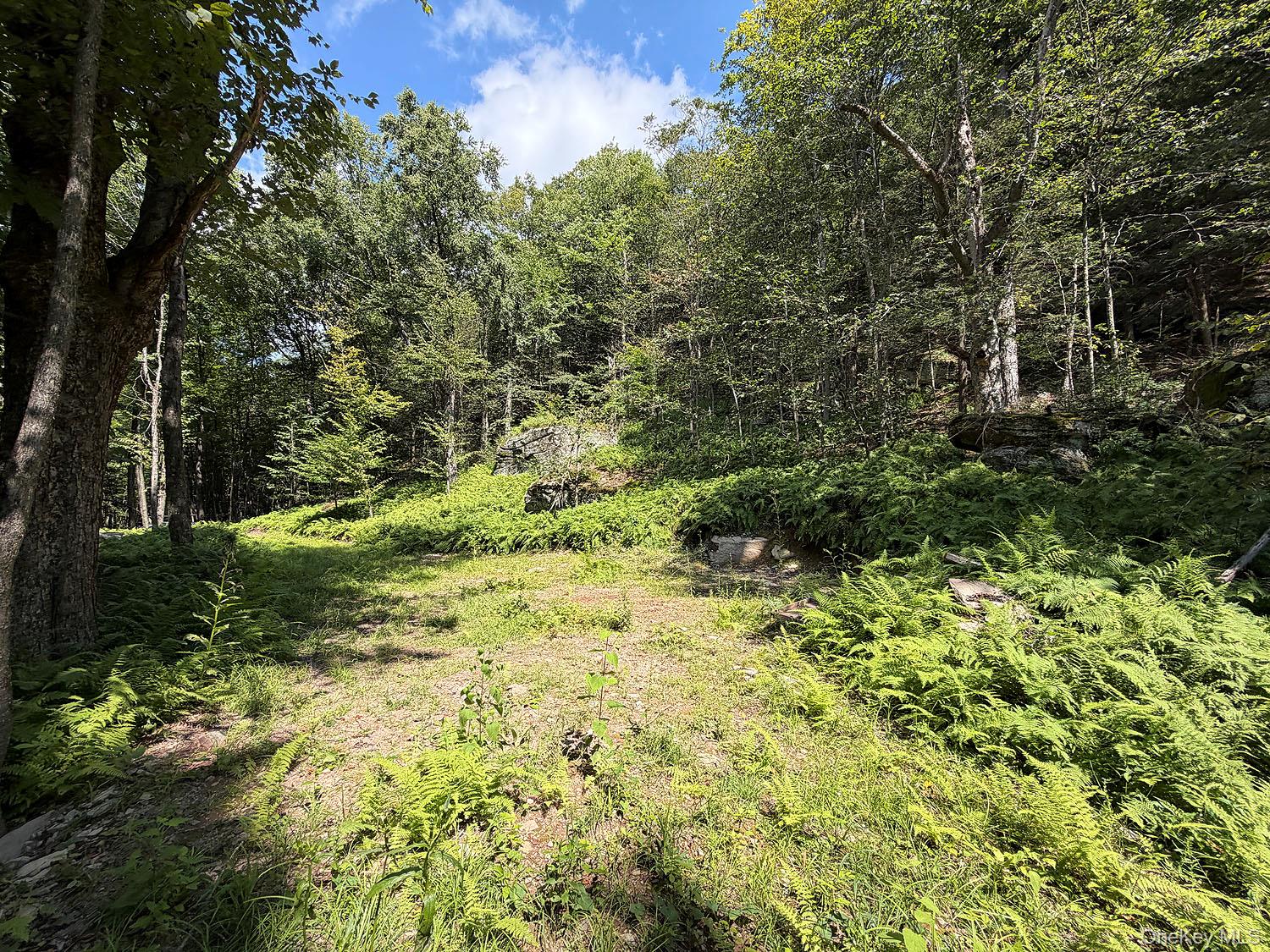 Hammer Road – For Sale photo 22