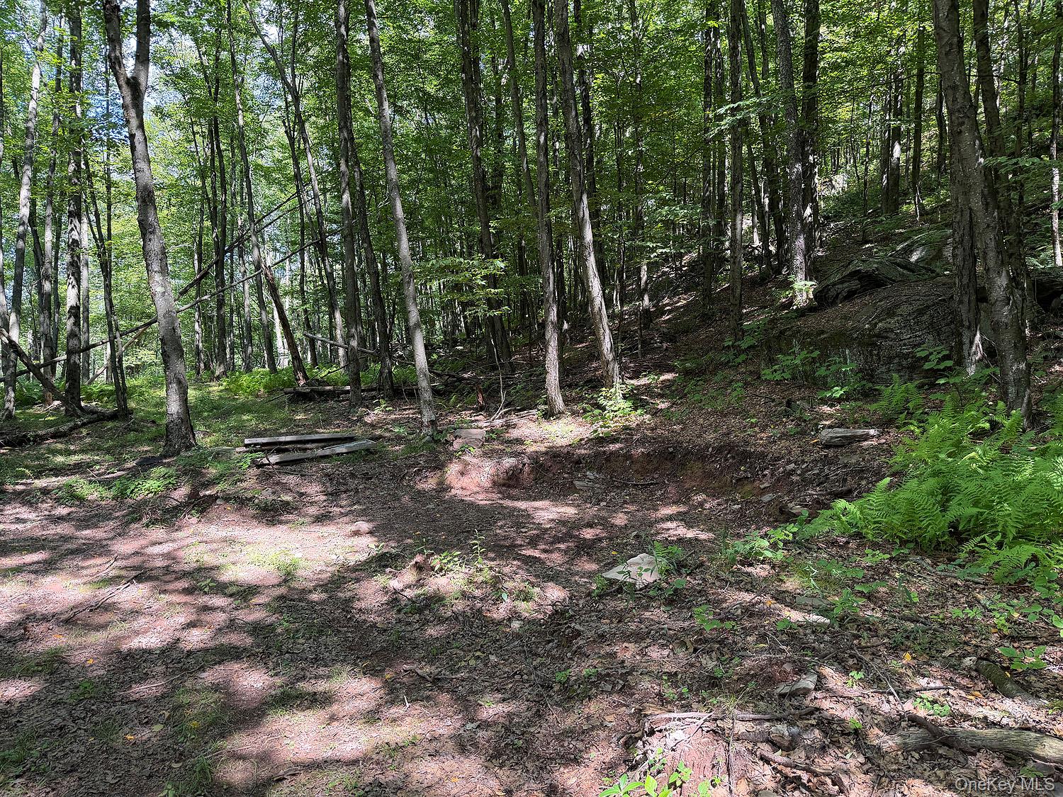 Hammer Road – For Sale photo 13