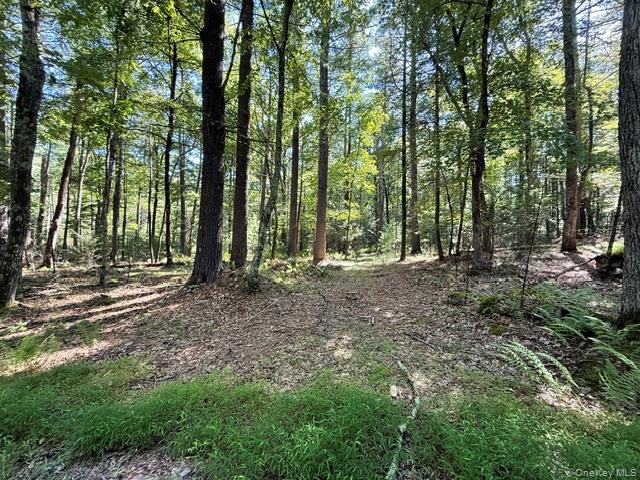 Lot 3.18 Fish Cabin Road – For Sale photo 6