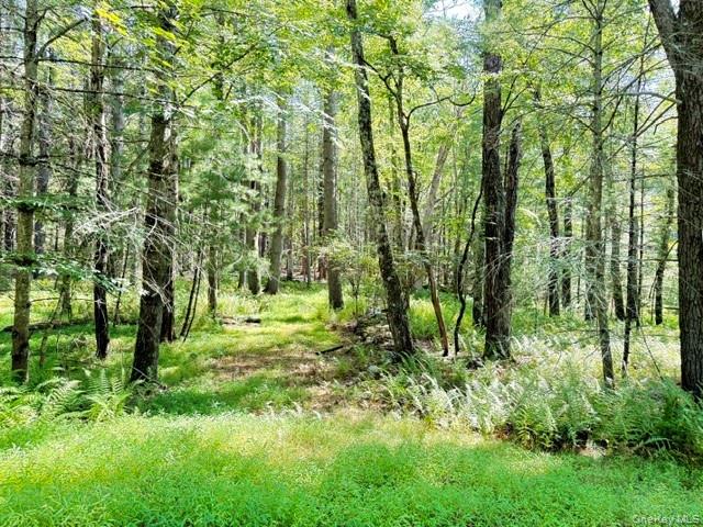 Lot 3.18 Fish Cabin Road – For Sale