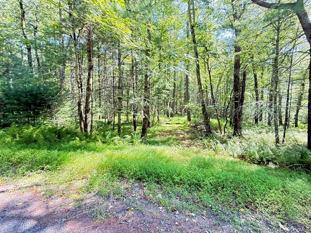 Lot 3.18 Fish Cabin Road – For Sale photo 2