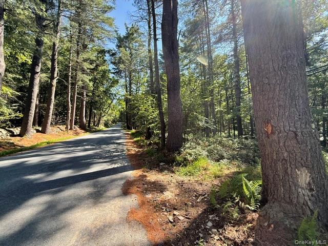 Lot 3.18 Fish Cabin Road – For Sale photo 4