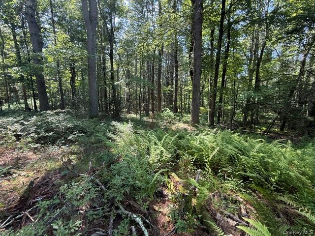 Lot 3.18 Fish Cabin Road – For Sale photo 8