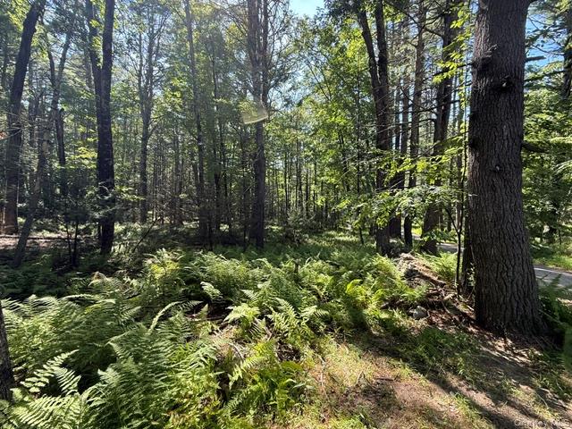 Lot 3.18 Fish Cabin Road – For Sale photo 9