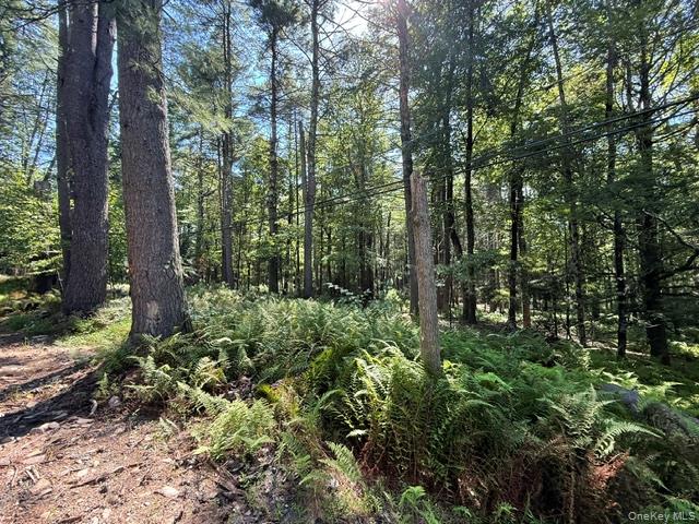 Lot 3.18 Fish Cabin Road – For Sale photo 7