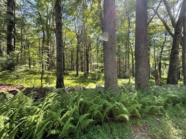 Lot 3.18 Fish Cabin Road – For Sale photo 10