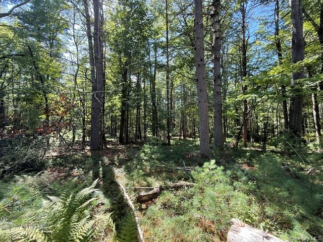 Lot 3.18 Fish Cabin Road – For Sale photo 5