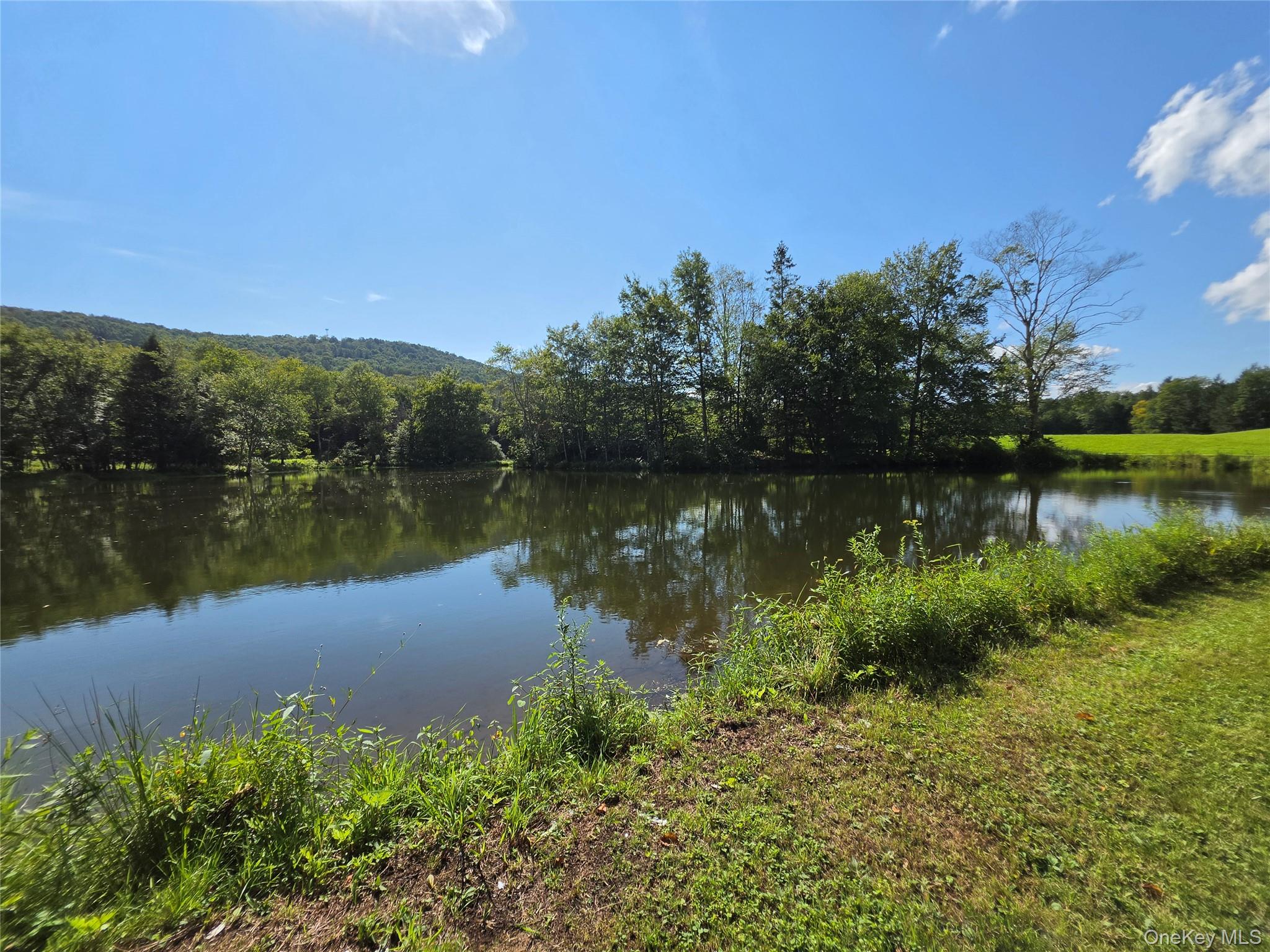600 Jeffersonville North Branch Road – For Sale photo 12