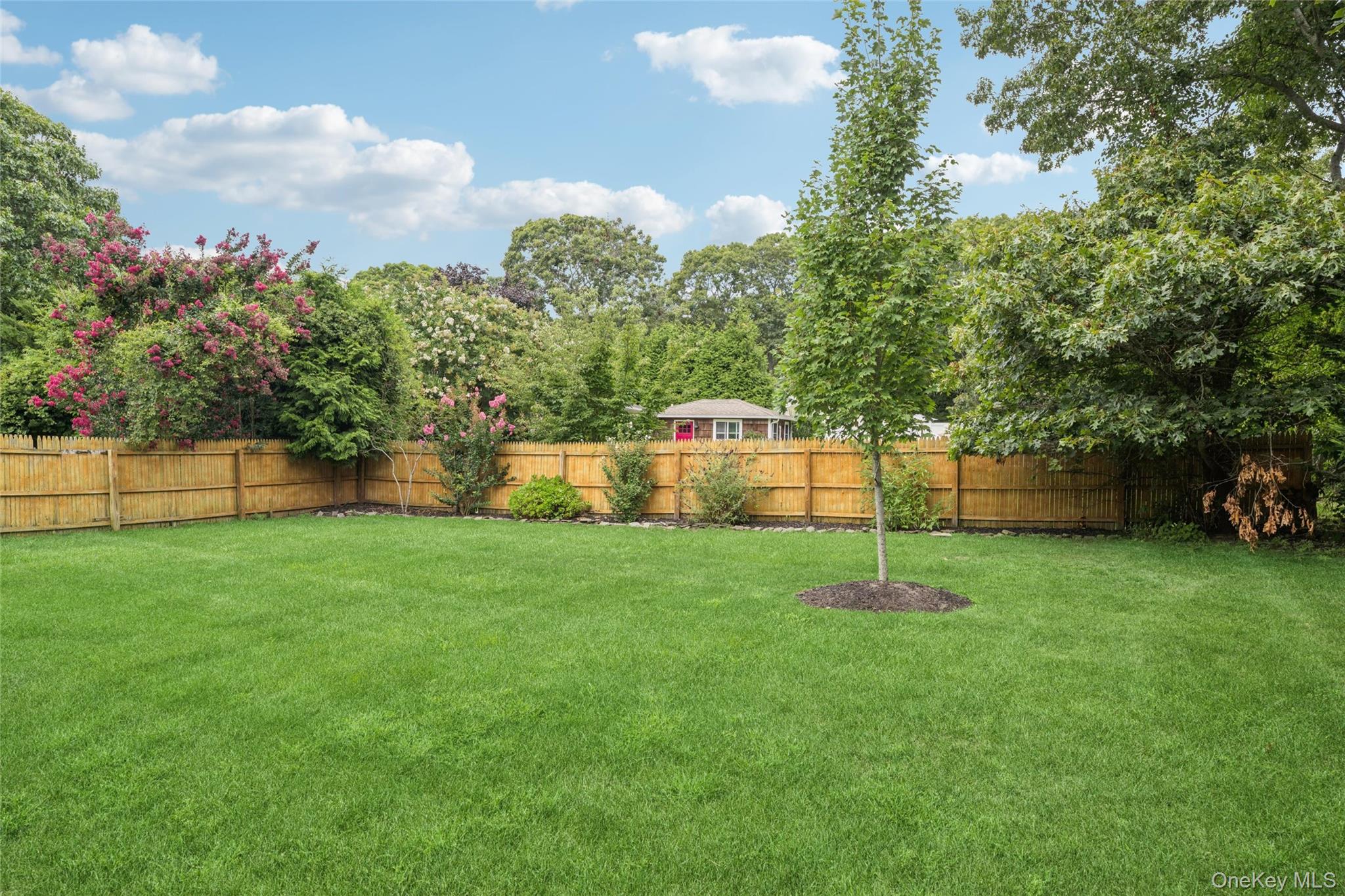 59 Homewood Drive – For Rent photo 35