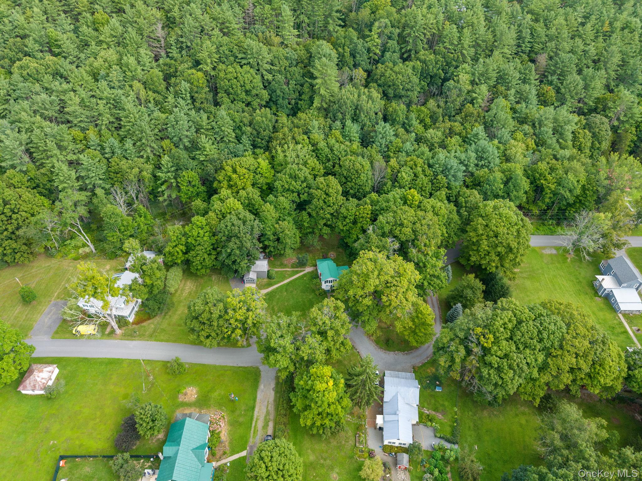 150 Pleasant Valley Rd, Fultonham – For Sale photo 46
