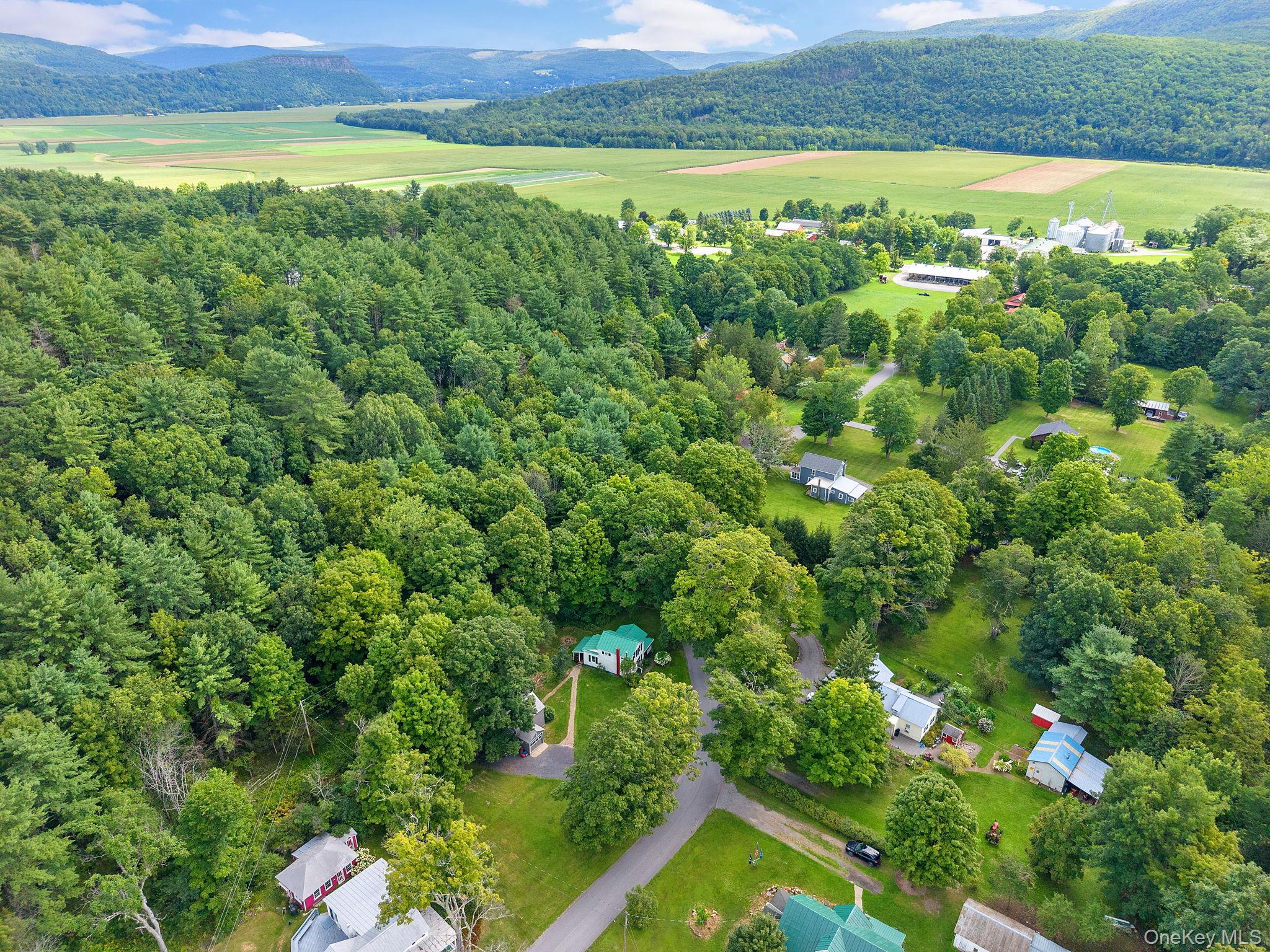 150 Pleasant Valley Rd, Fultonham – For Sale photo 45