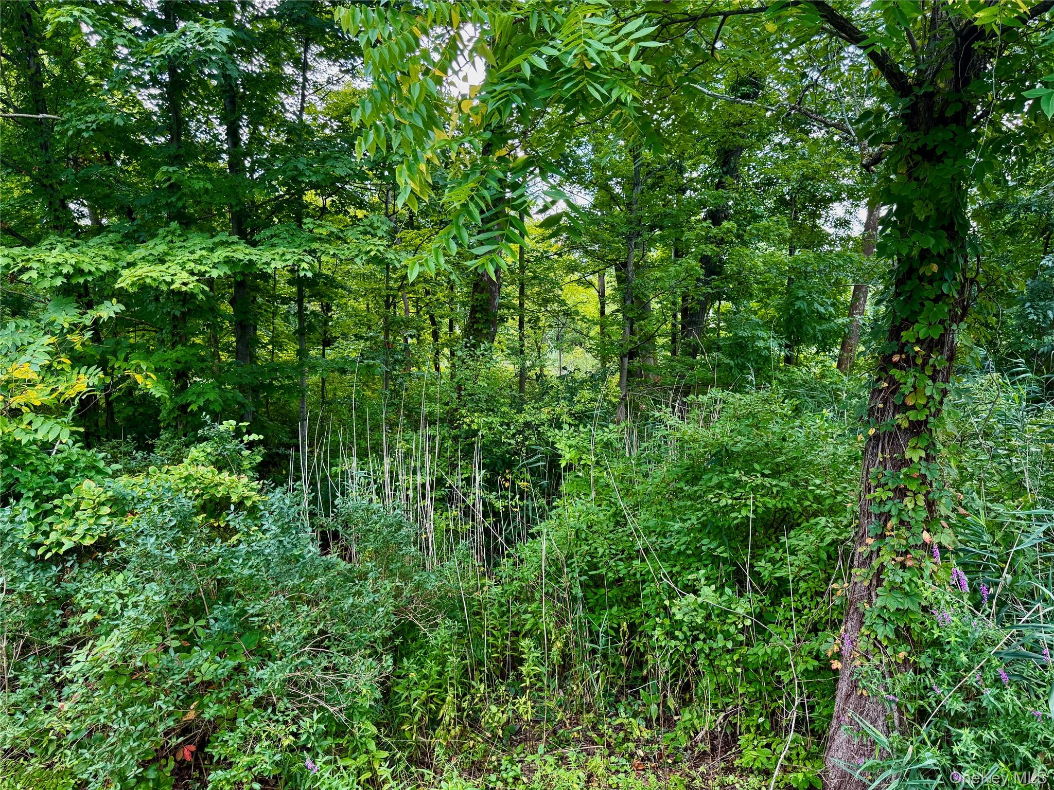 26 Fishkill Hook Road – For Sale photo 9