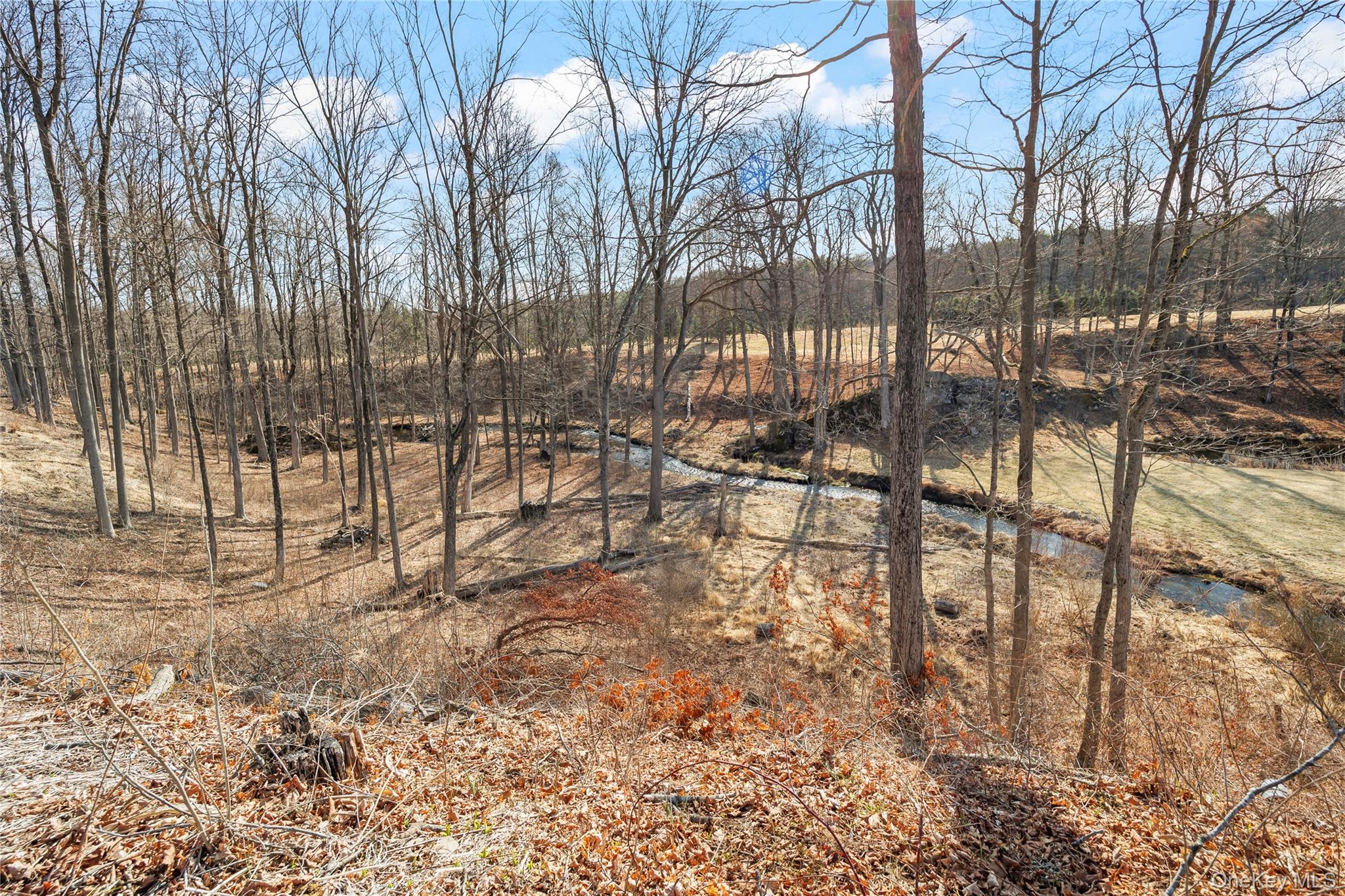 177 White Schoolhouse Road – For Rent photo 26