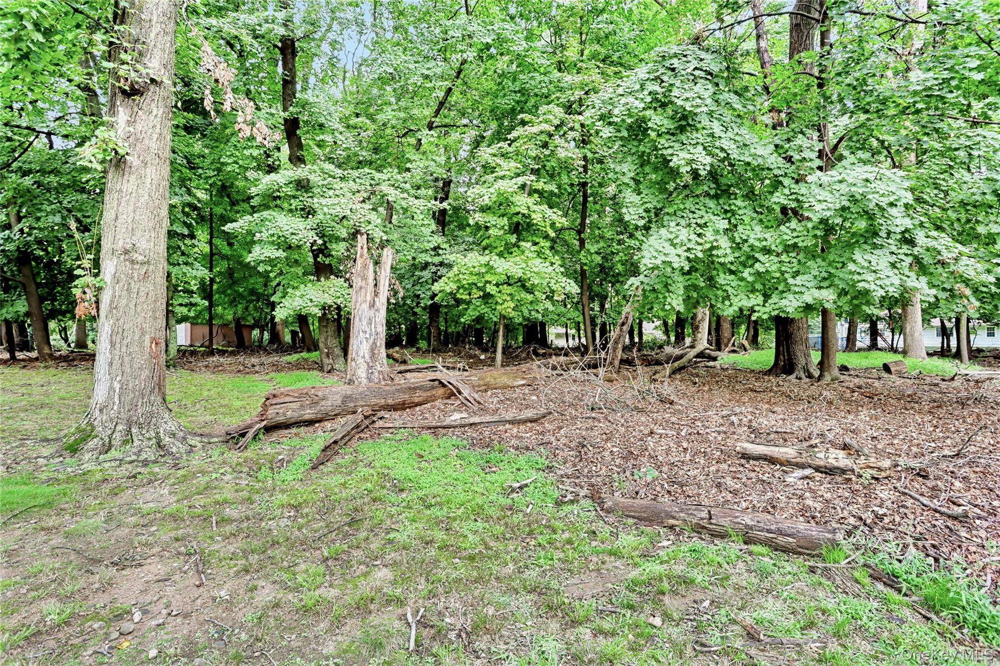 9 Bluejay Street – For Sale photo 20