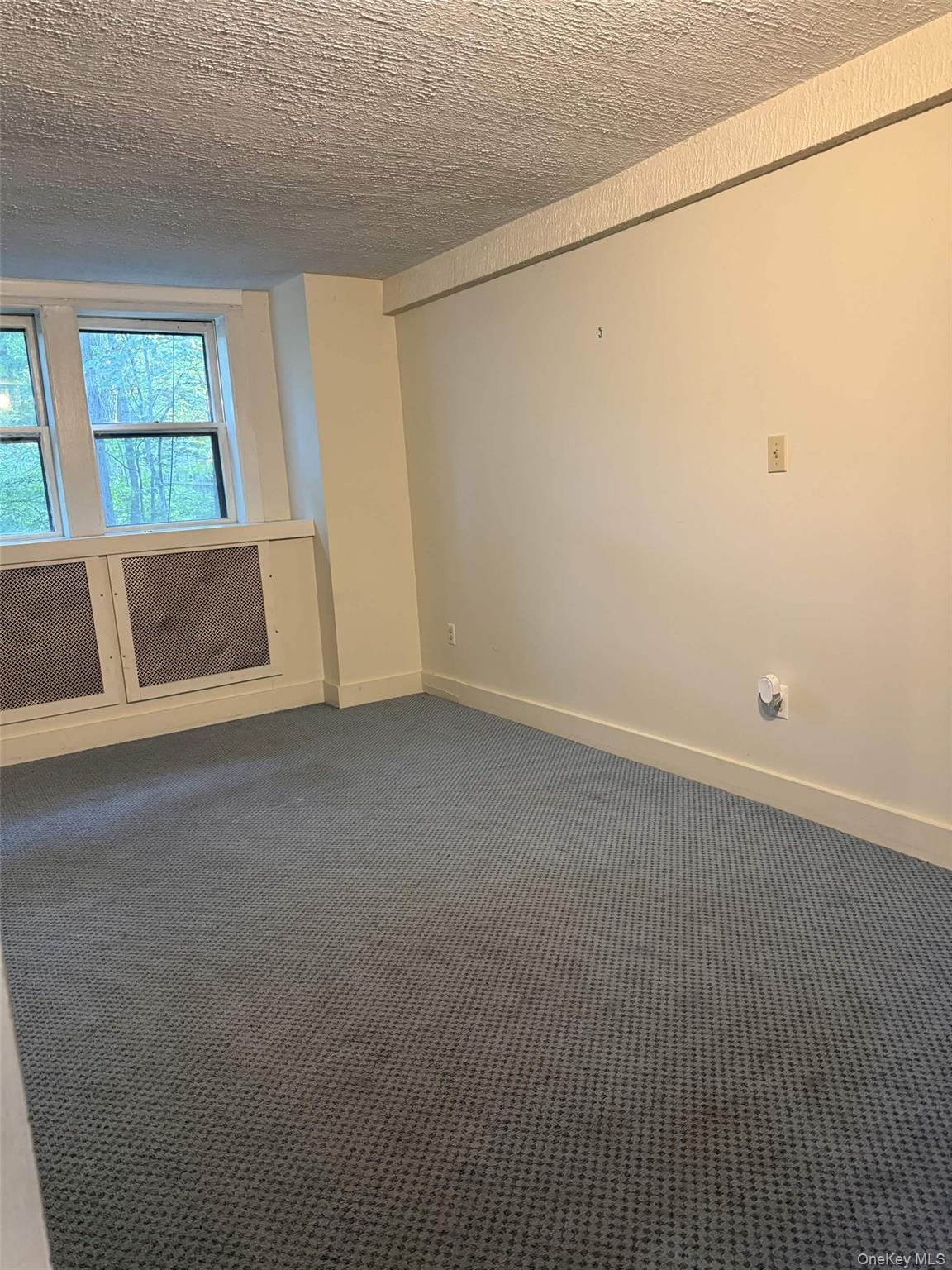 50 ROUTE 343, Unit A photo 17