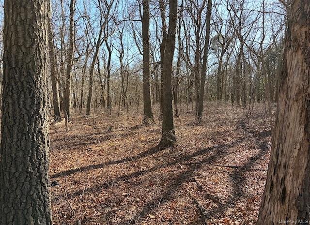 Woodlot Road – For Sale