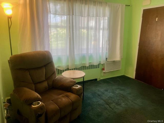 249-32 63rd Avenue, Unit 41227 photo 19