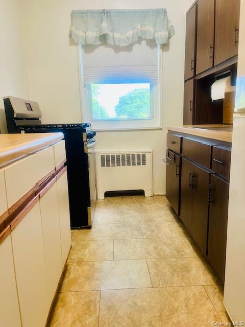 249-32 63rd Avenue, Unit 41227 photo 9