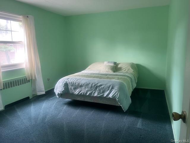 249-32 63rd Avenue, Unit 41227 photo 13