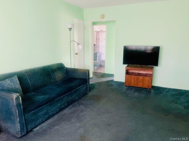 249-32 63rd Avenue, Unit 41227 photo 11