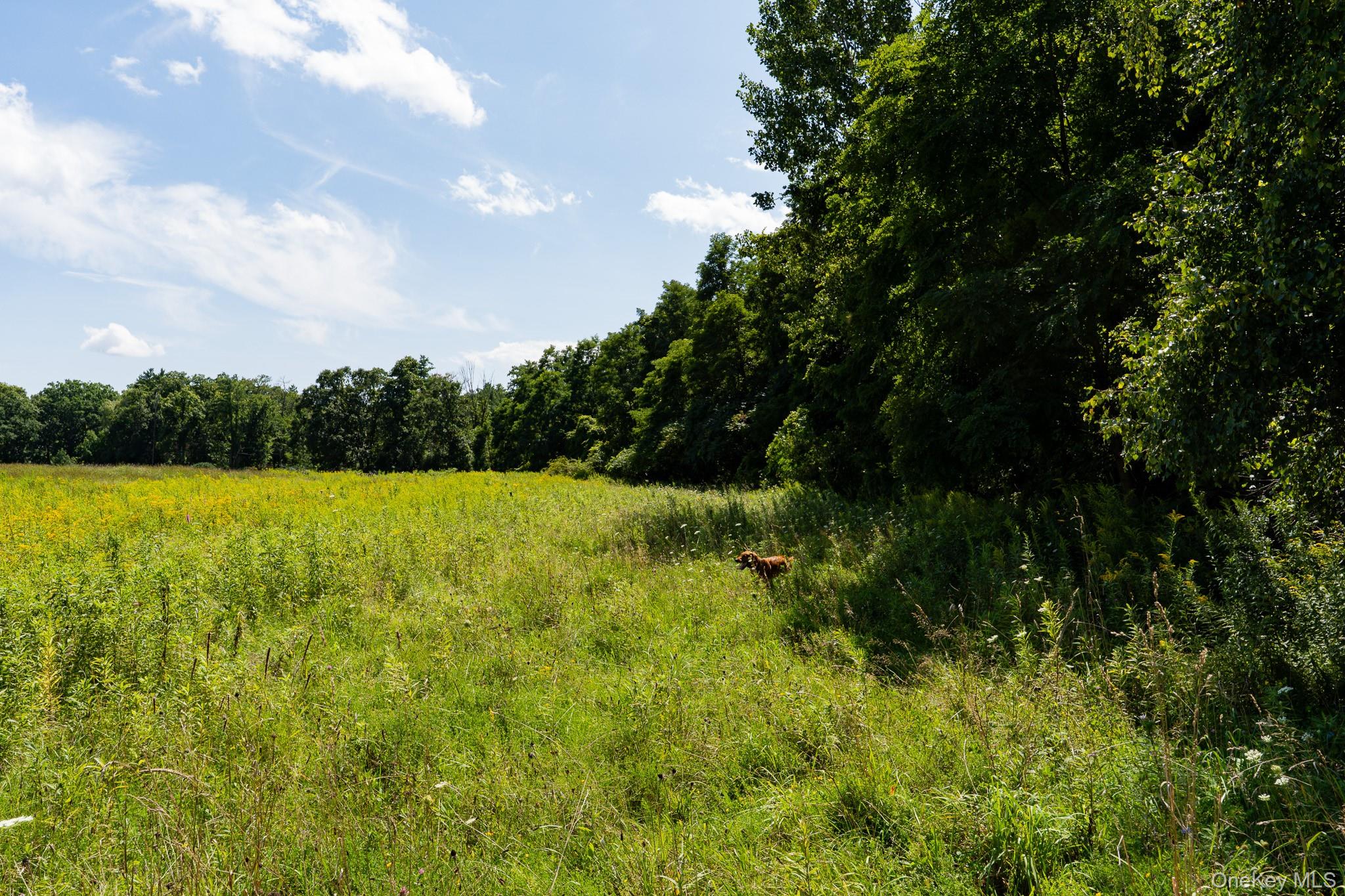 120 Jordan Road – For Sale photo 17