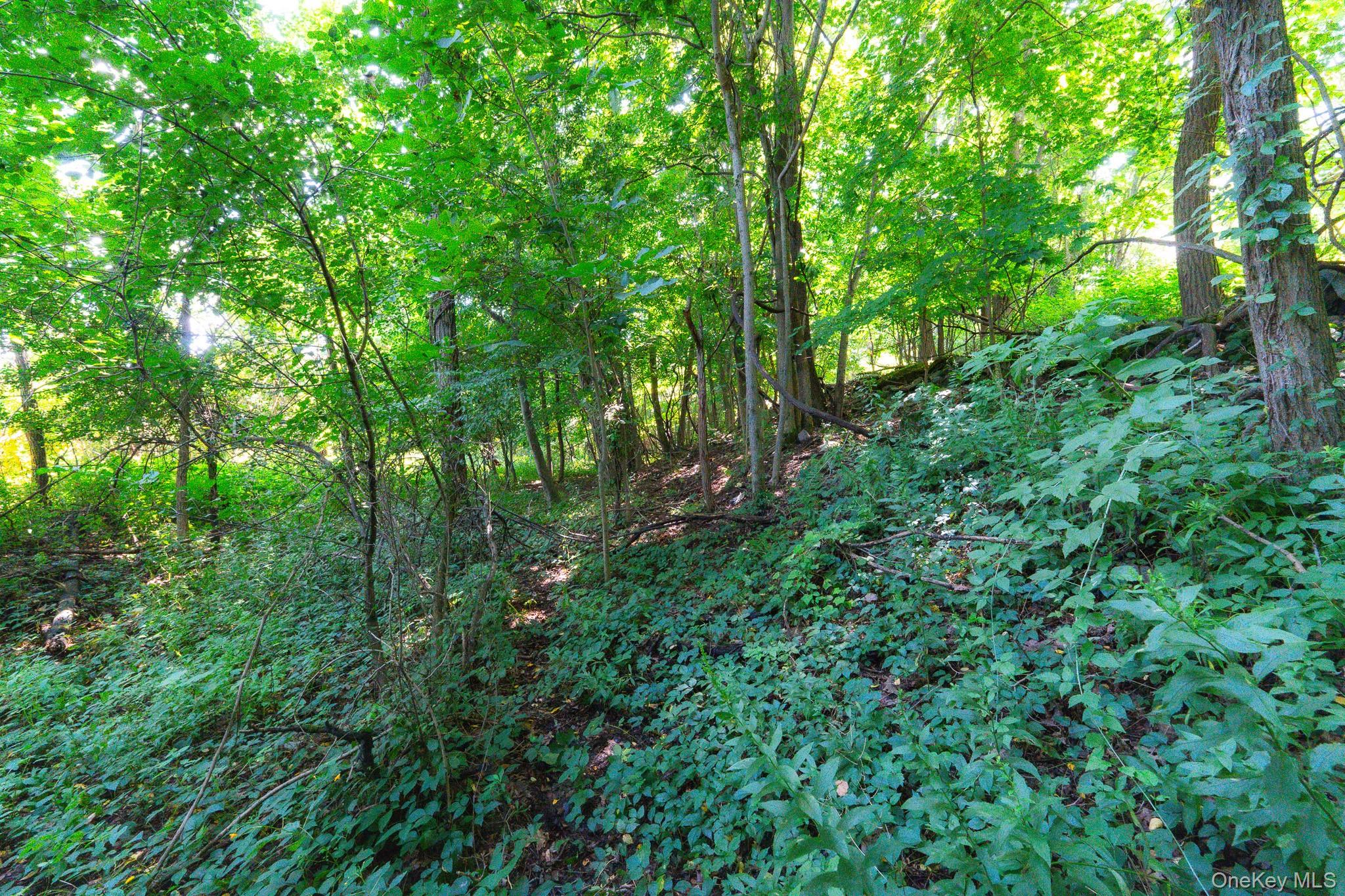 120 Jordan Road – For Sale photo 21