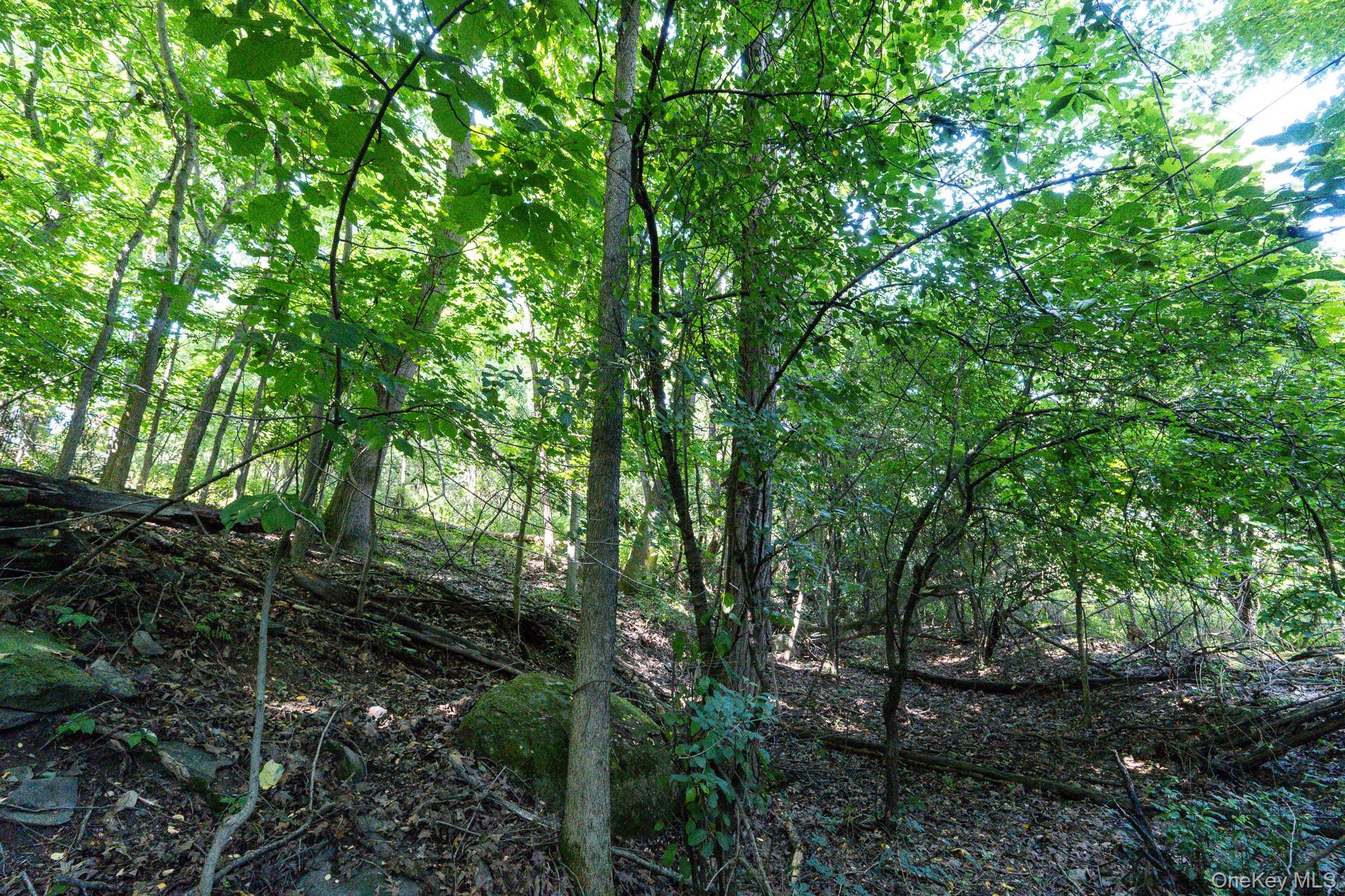 120 Jordan Road – For Sale photo 19