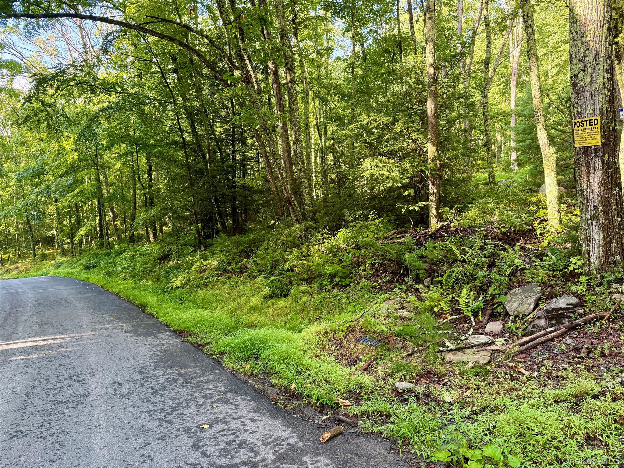 00 Gumaer Falls Road – For Sale photo 13
