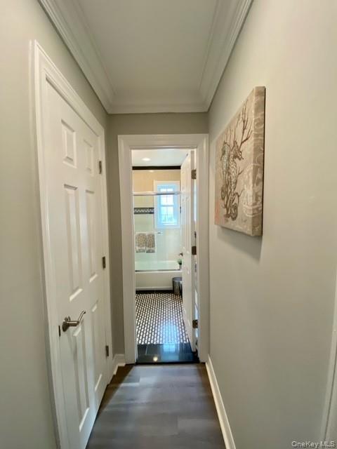 315 Robinson Avenue, Unit 315-4 photo 5
