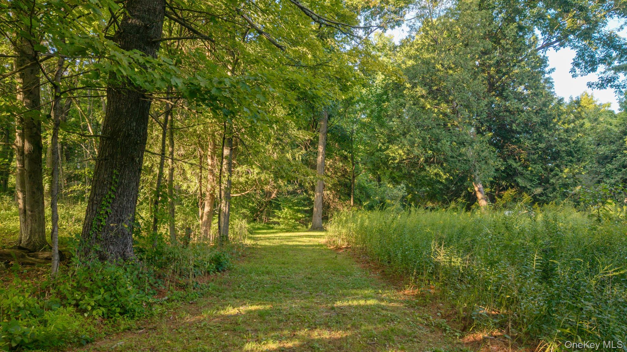 4314 Us Highway 209 – For Sale photo 44