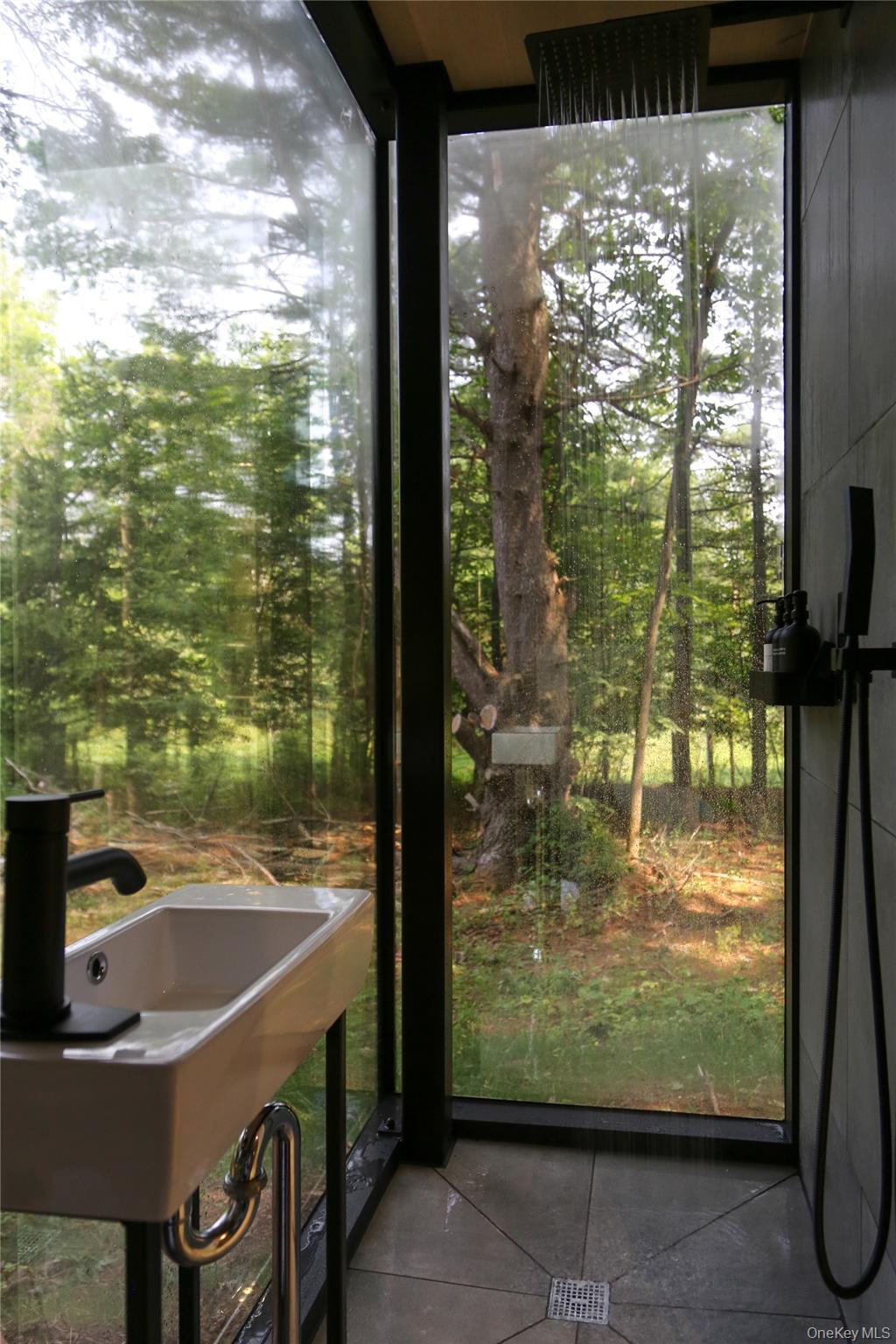 226 State Route 296 – For Sale photo 5
