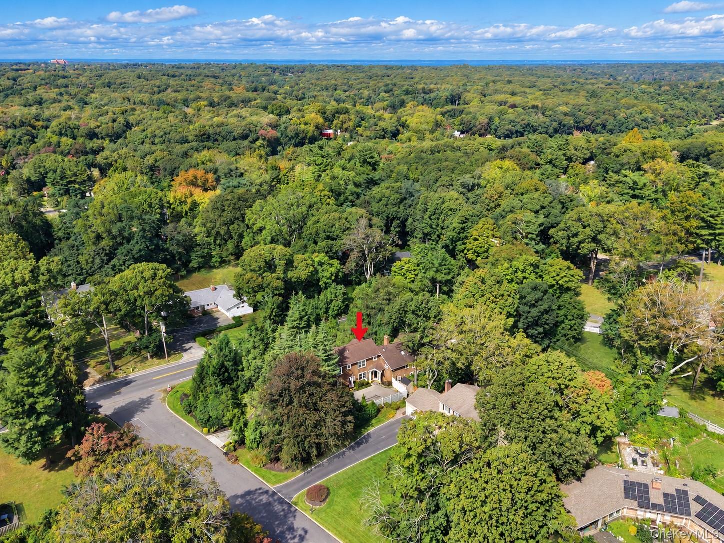 100 Edgewood Avenue – For Sale photo 5