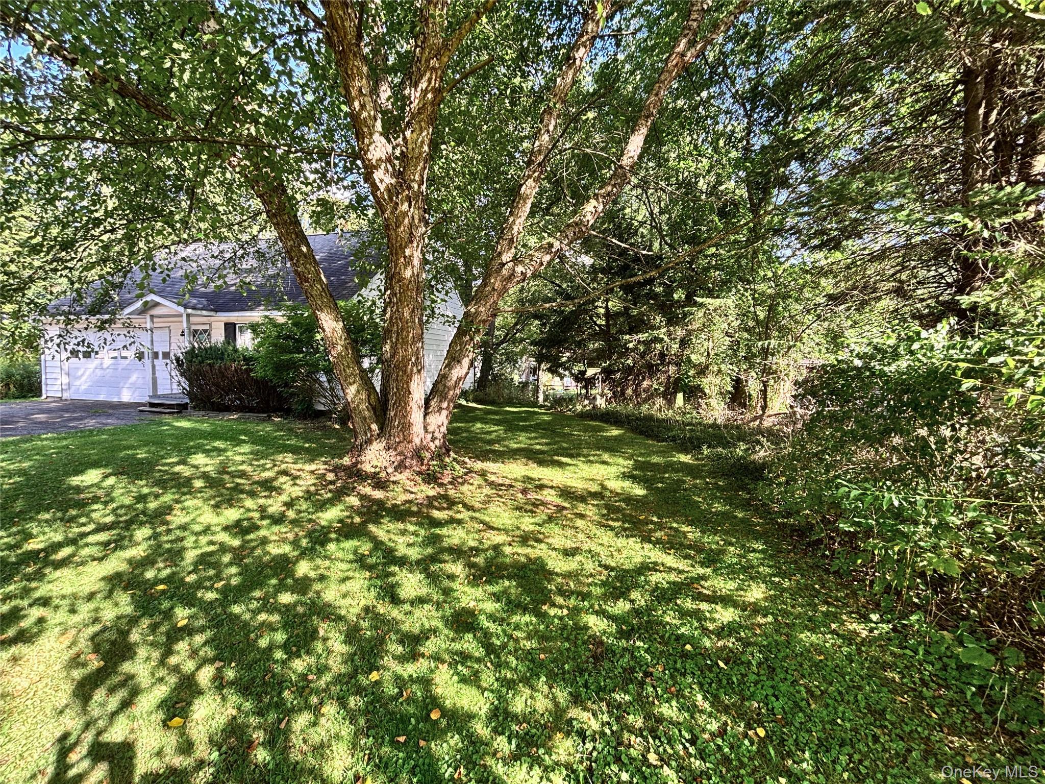 193 Main Street – For Sale photo 39