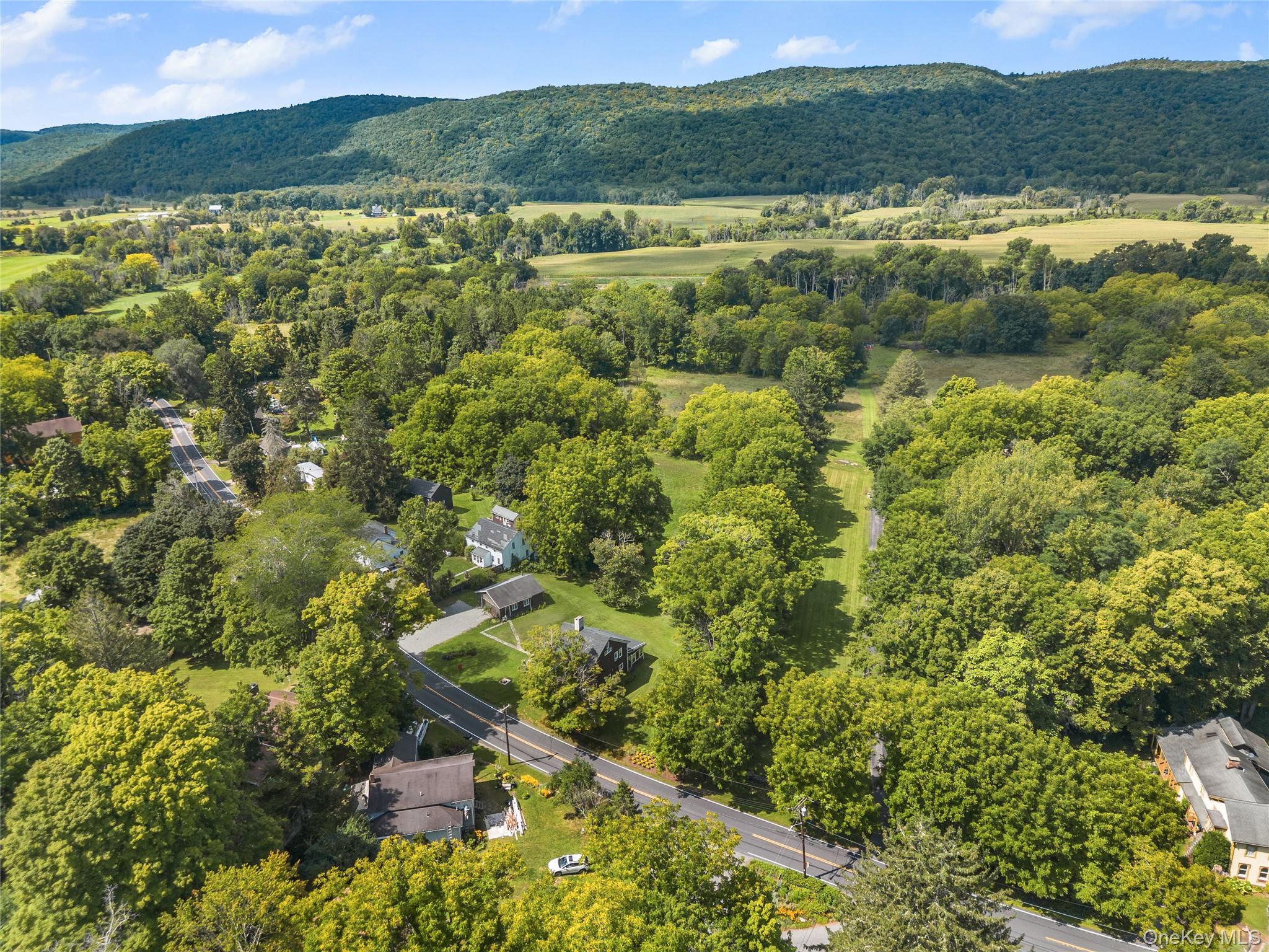 309 Amenia Union Road – For Sale photo 39