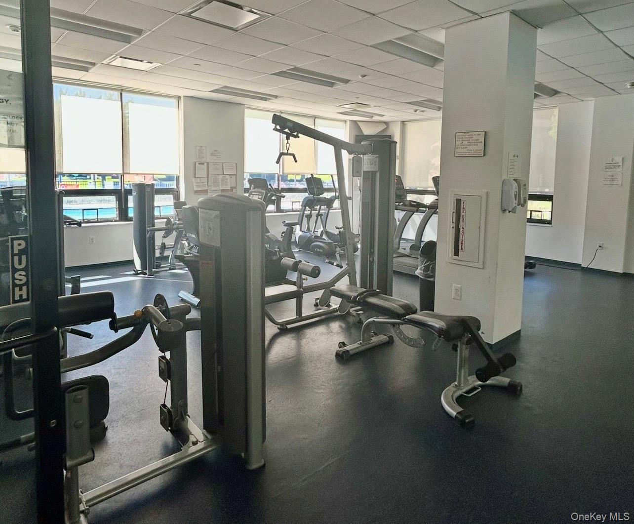16 Brevoort Drive, Unit 2D photo 19