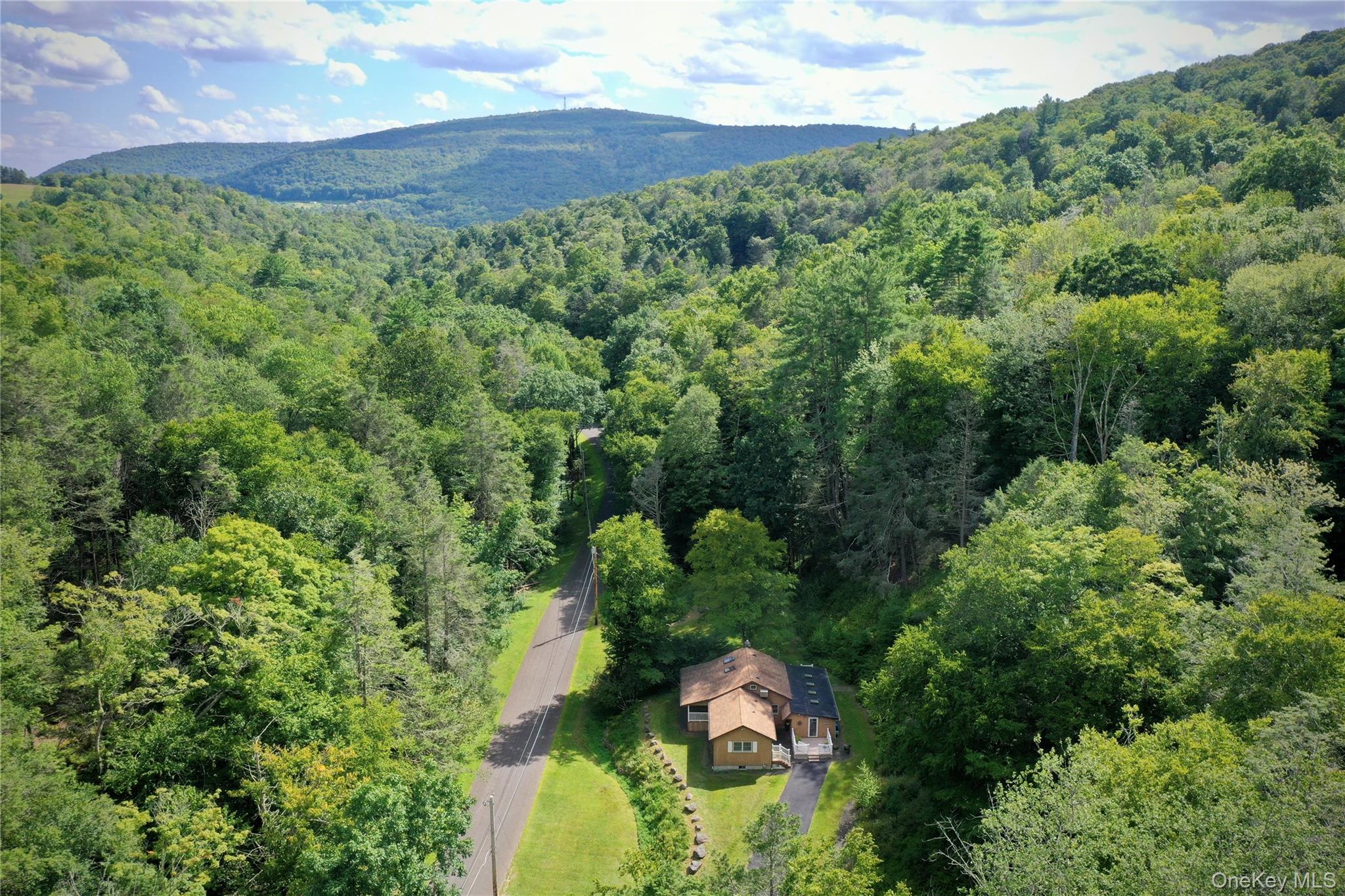 283 Pepacton Hollow Road – For Sale photo 3