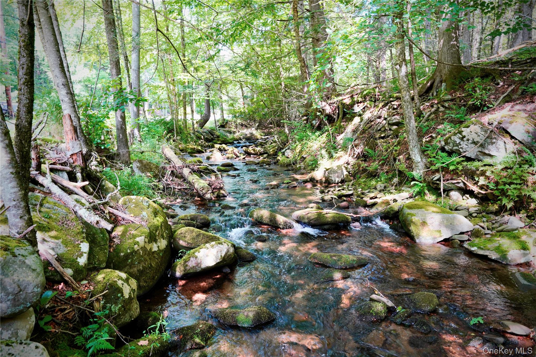283 Pepacton Hollow Road – For Sale photo 45