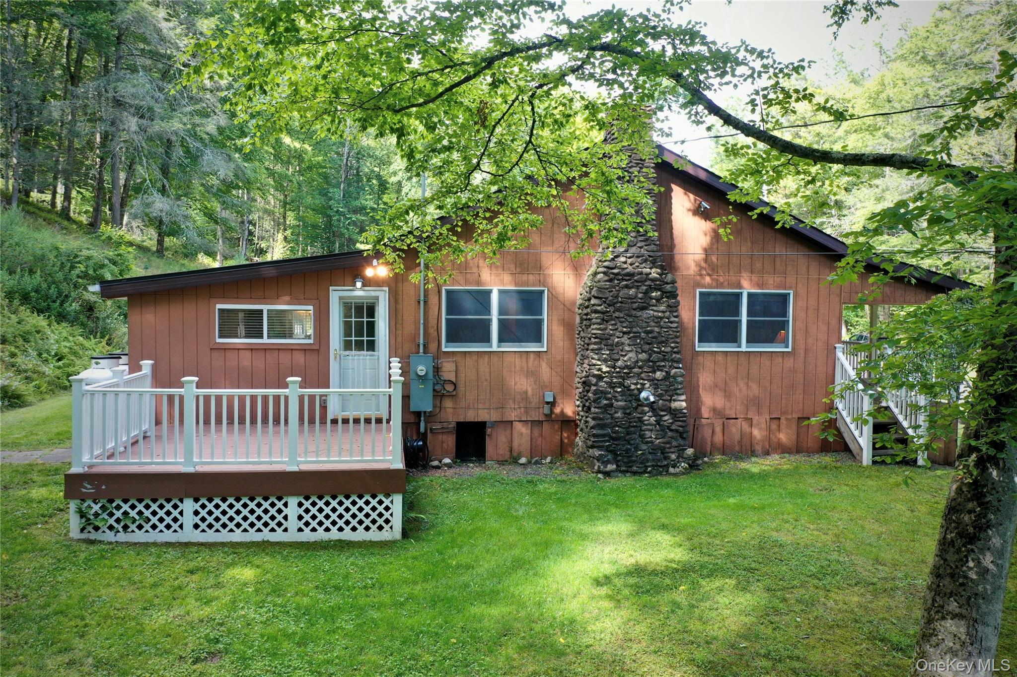 283 Pepacton Hollow Road – For Sale photo 4