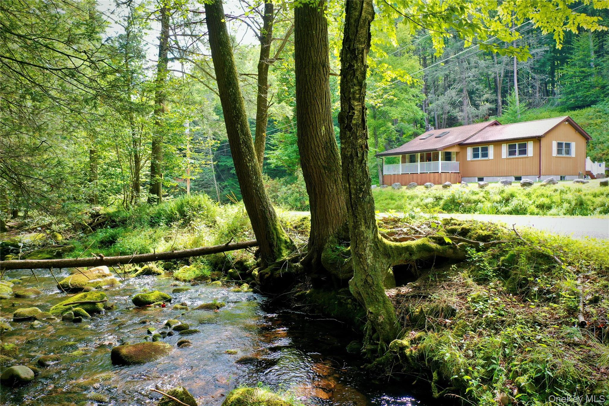 283 Pepacton Hollow Road – For Sale